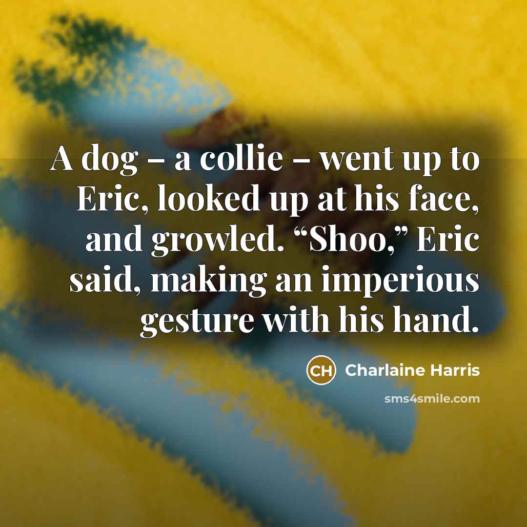 “A dog – a collie – went up to Eric,…” quote by Charlaine Harris