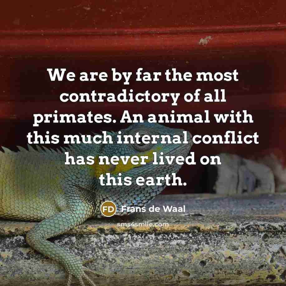 “We are by far the most contradictory of all primates.…” quote by Frans de Waal