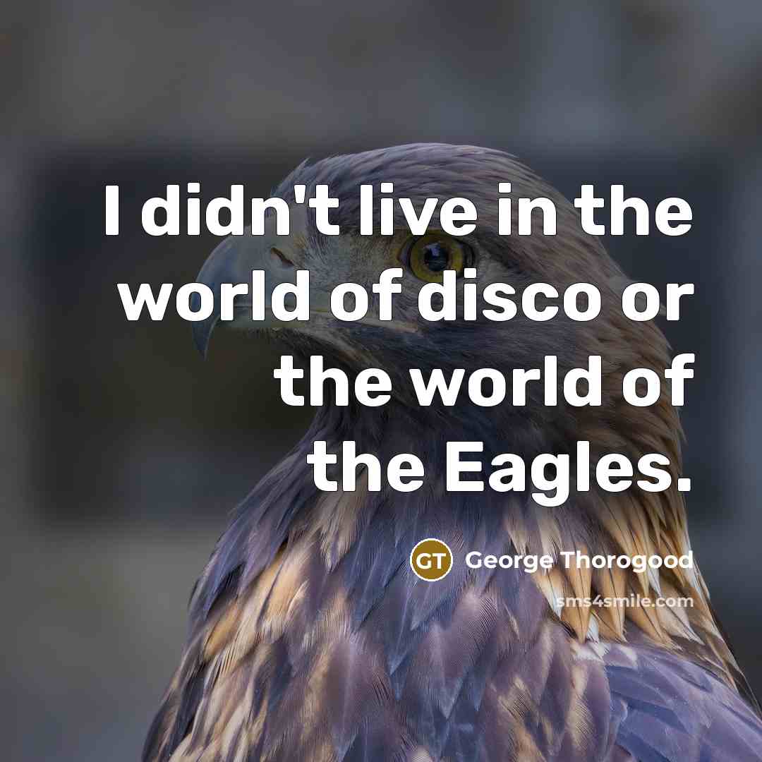 “I didn't live in the world of disco or the…” quote by George Thorogood