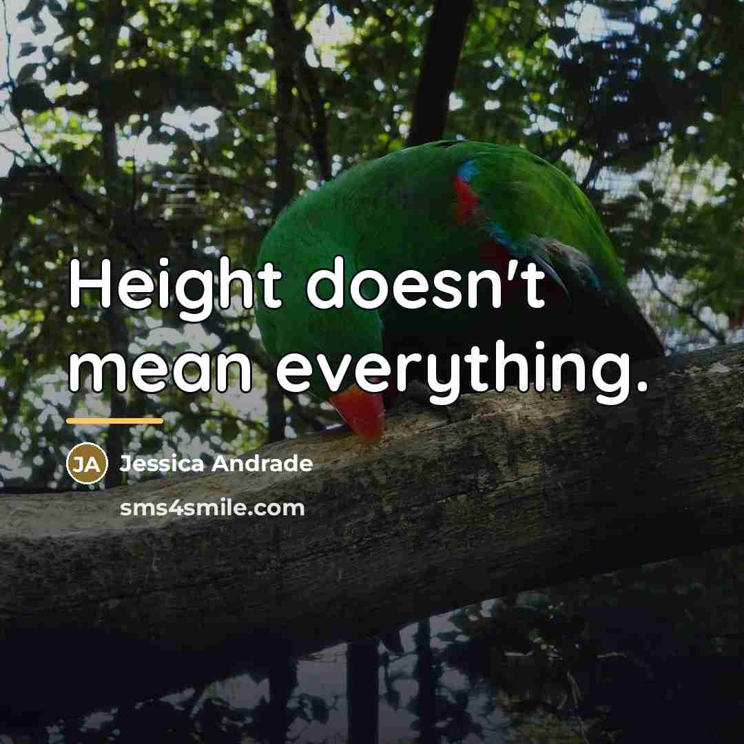 “Height doesn't mean everything.…” quote by Jessica Andrade