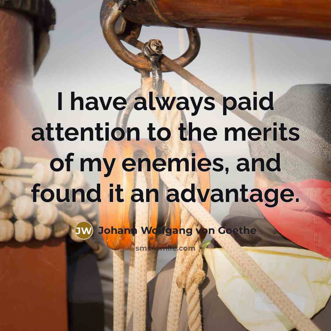 “I have always paid attention to the merits of my…” quote by Johann Wolfgang von Goethe