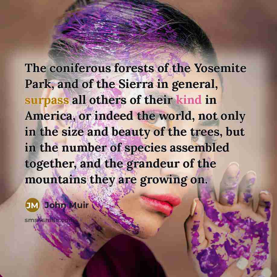 “The coniferous forests of the Yosemite Park, and of the…” quote by John Muir