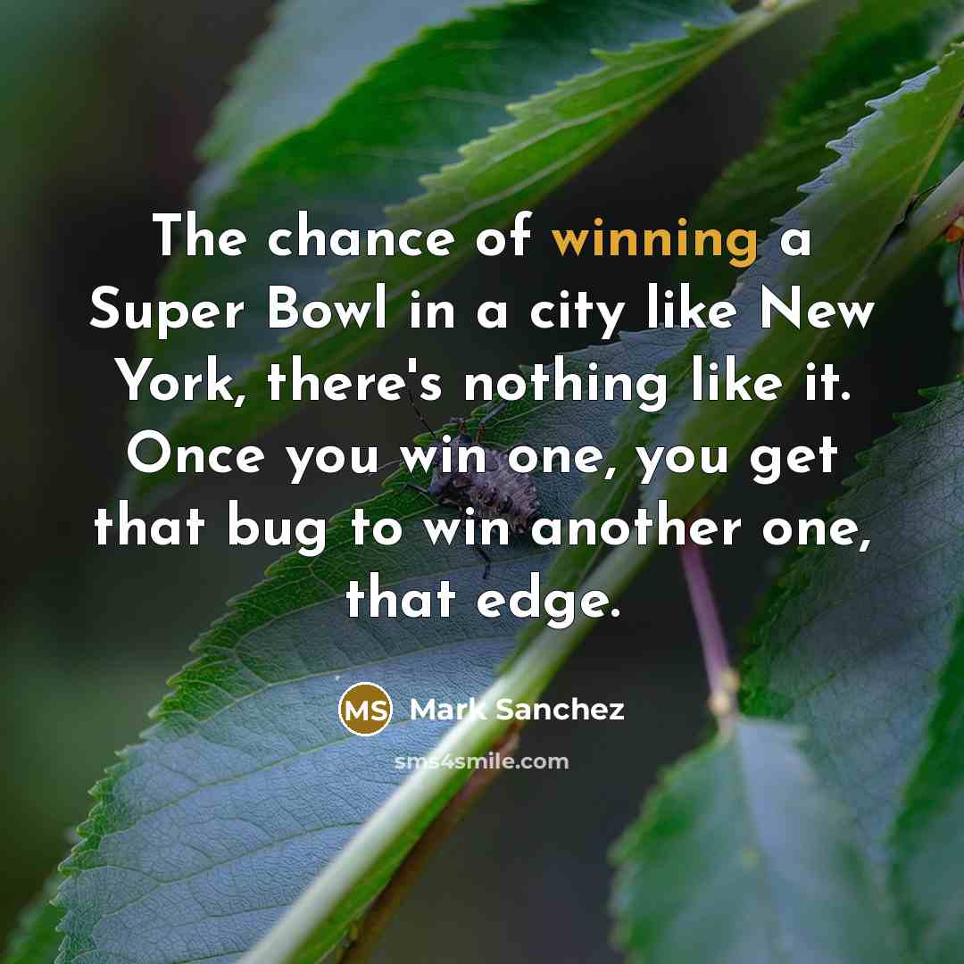“The chance of winning a Super Bowl in a city…” quote by Mark Sanchez