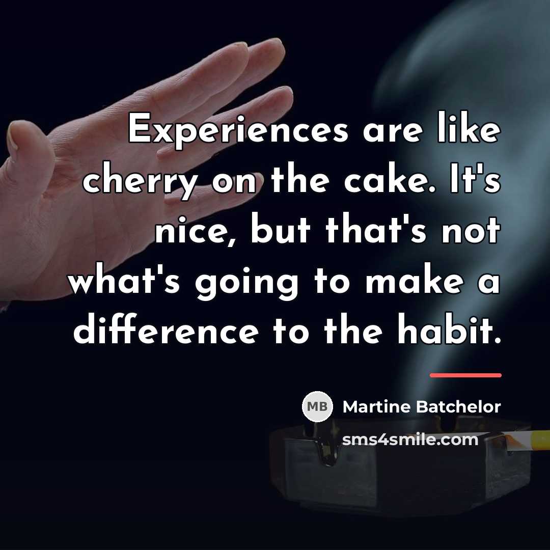 “Experiences are like cherry on the cake. It's nice, but…” quote by Martine Batchelor