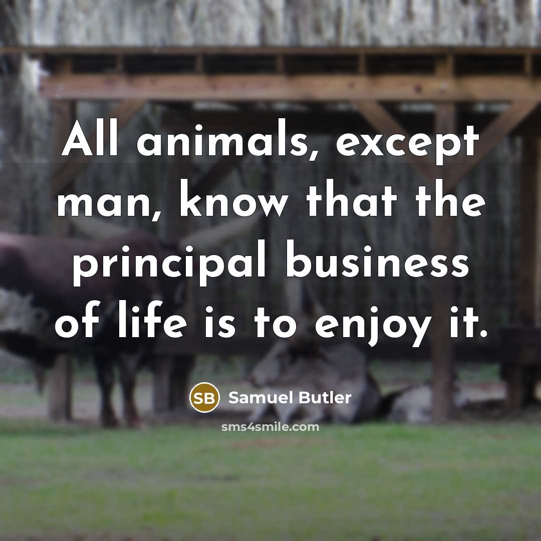 “All animals, except man, know that the principal business of…” quote by Samuel Butler