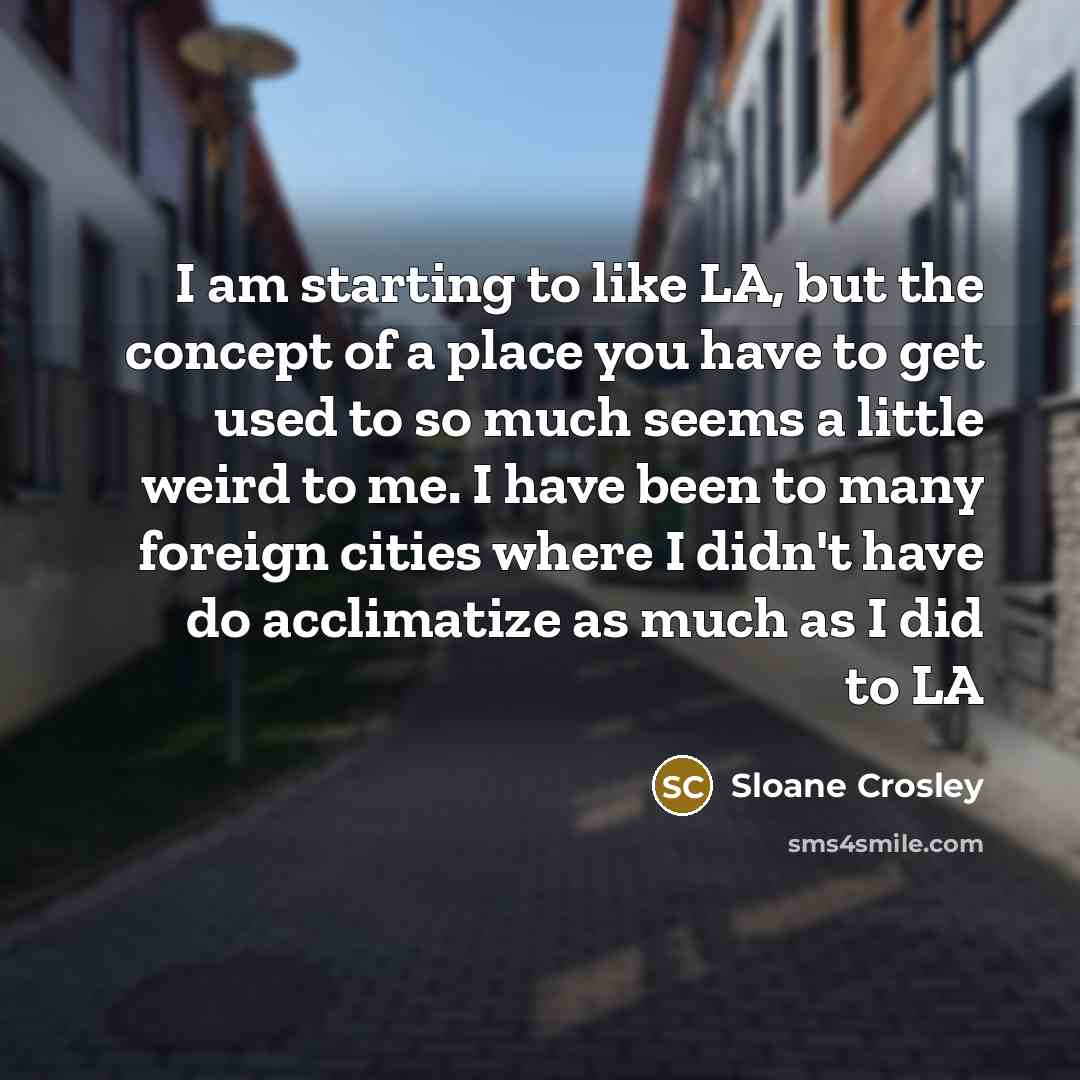 “I am starting to like LA, but the concept of…” quote by Sloane Crosley