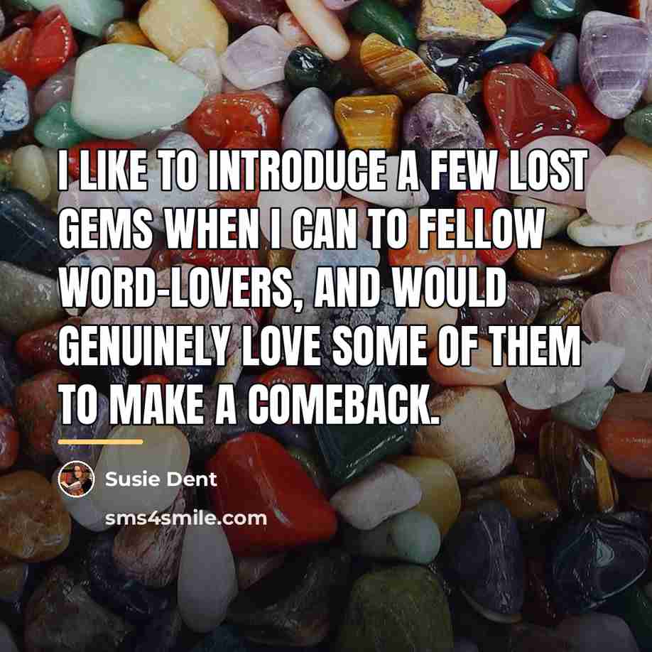 “I like to introduce a few lost gems when I…” quote by Susie Dent