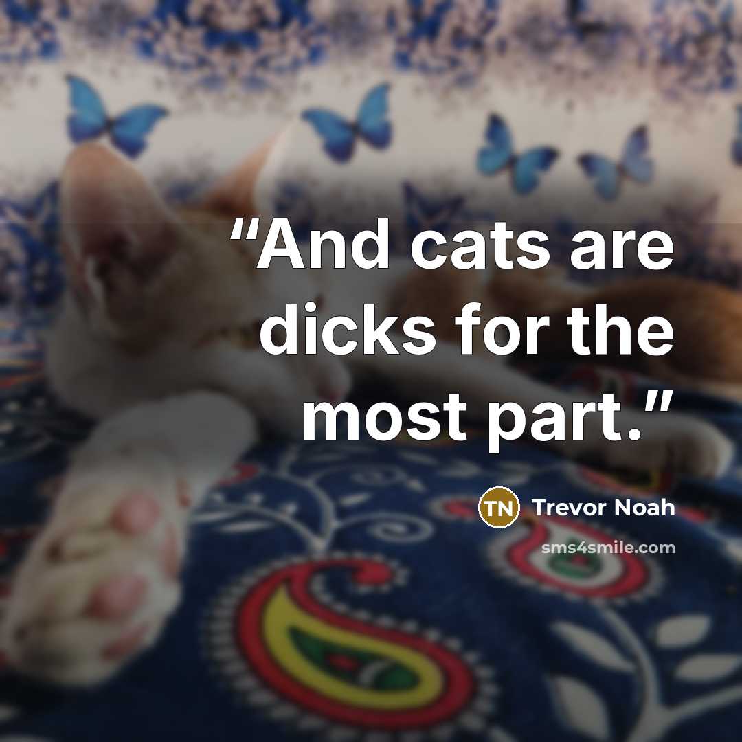 “And cats are dicks for the most part.” quote by Trevor Noah