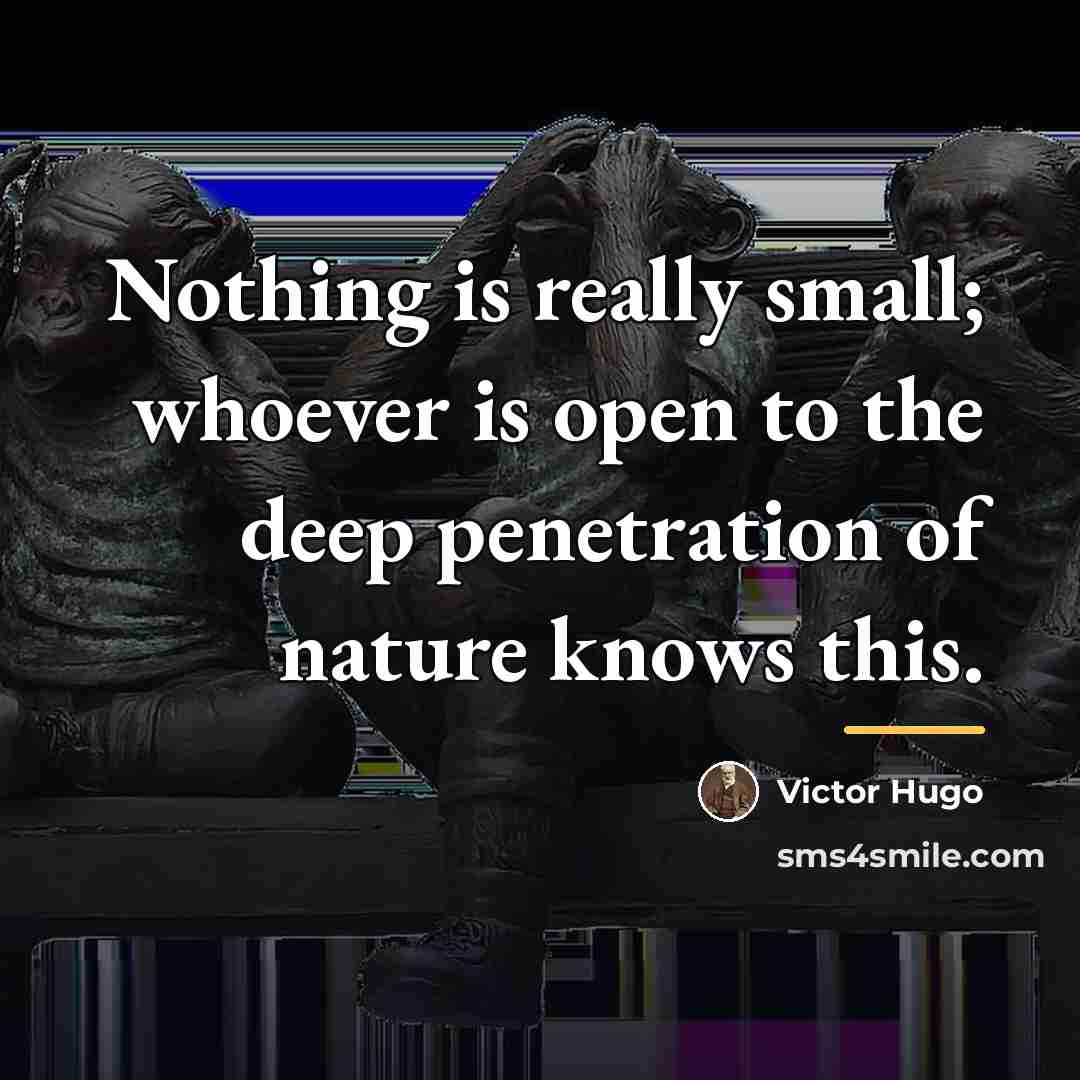 “Nothing is really small; whoever is open to the deep…” quote by Victor Hugo