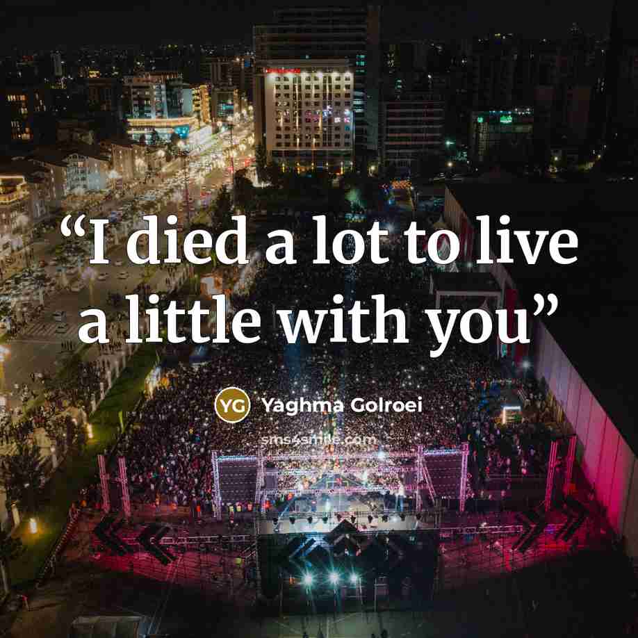 “I died a lot to live a little with you” quote by Yaghma Golroei