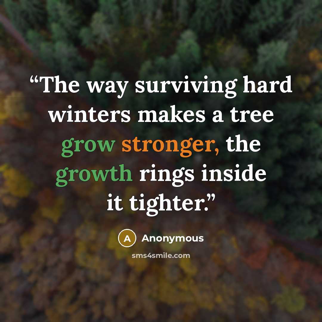 “The way surviving hard winters makes a tree grow stronger, the growth rings inside it tighter.” quote by Anonymous