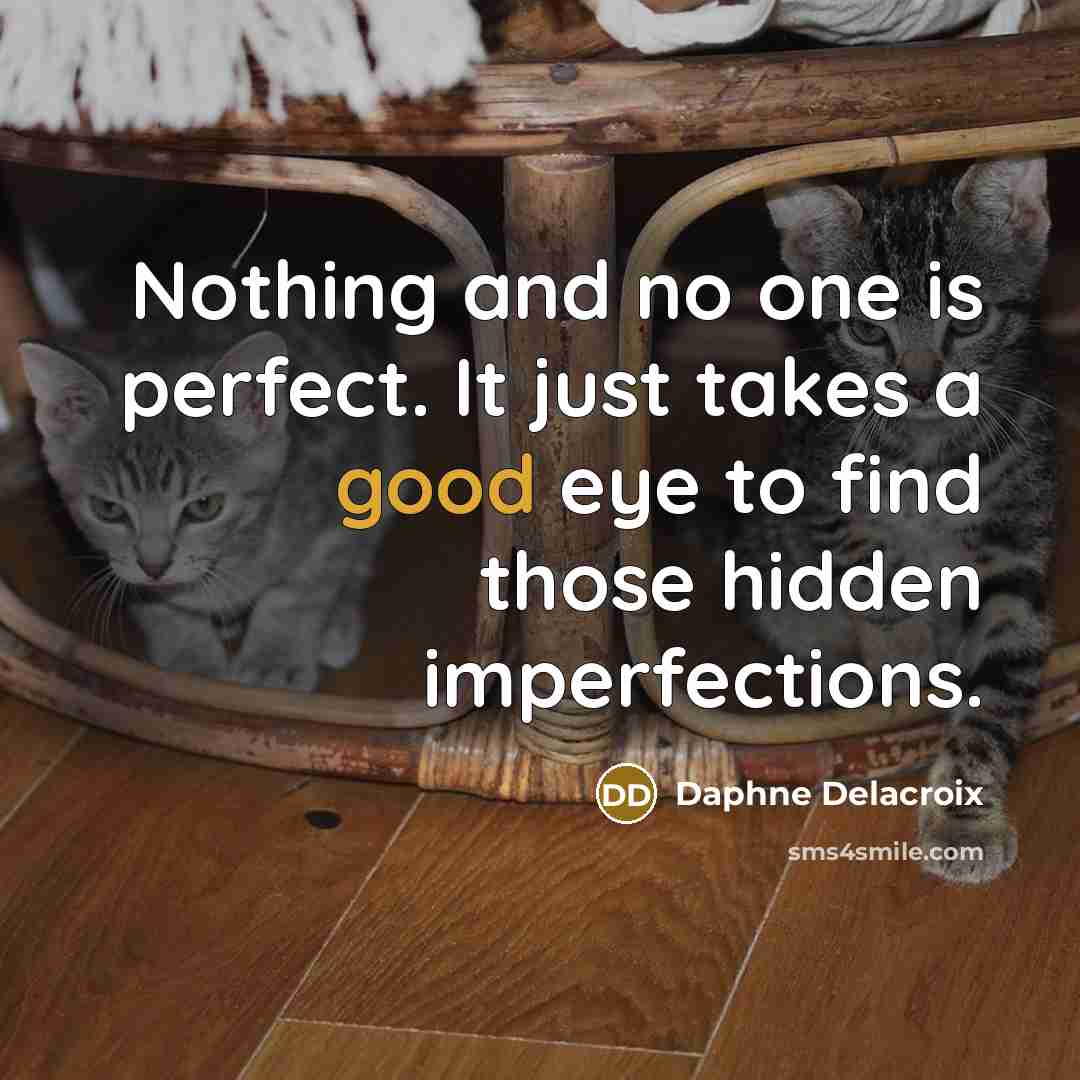 “Nothing and no one is perfect. It just takes a…” quote by Daphne Delacroix