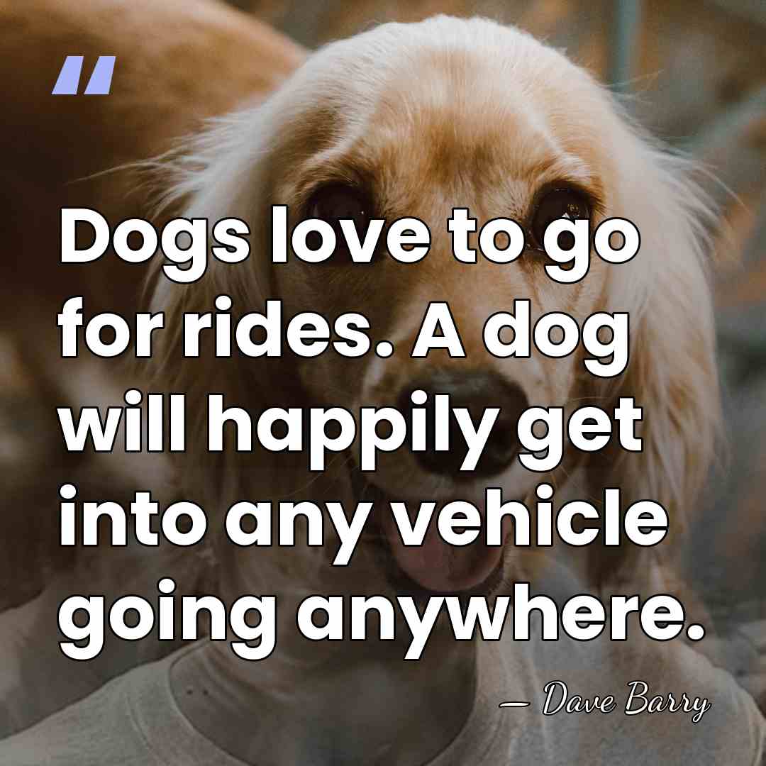 Dogs love to go for rides. A dog will happily get into&hellip; - Dave Barry