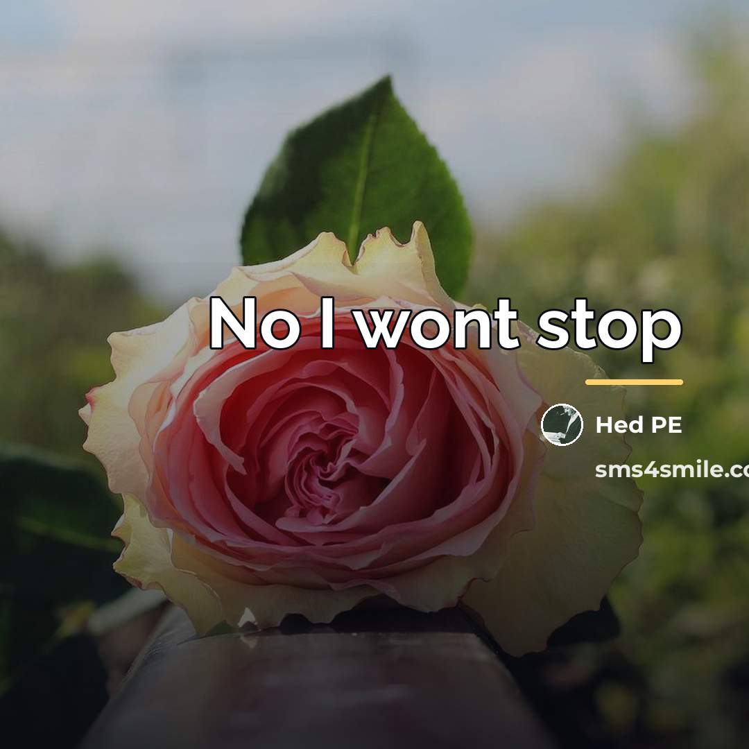 “No I wont stop…” quote by Hed PE