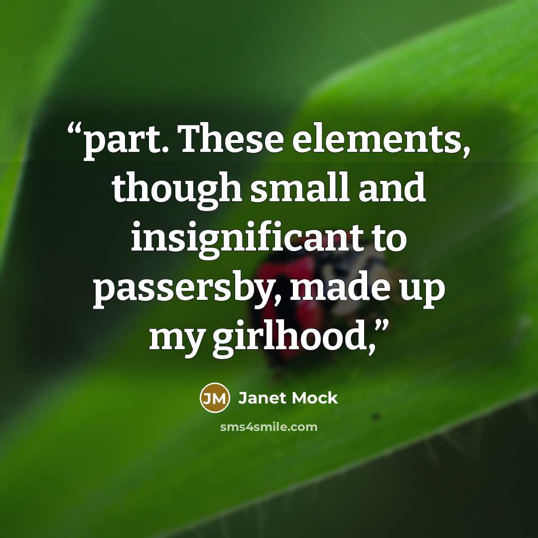 “part. These elements, though small and insignificant to passersby, made up my girlhood,” quote by Janet Mock