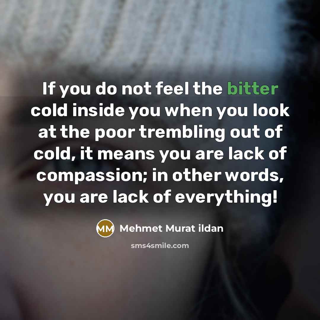 “If you do not feel the bitter cold inside you…” quote by Mehmet Murat Ildan