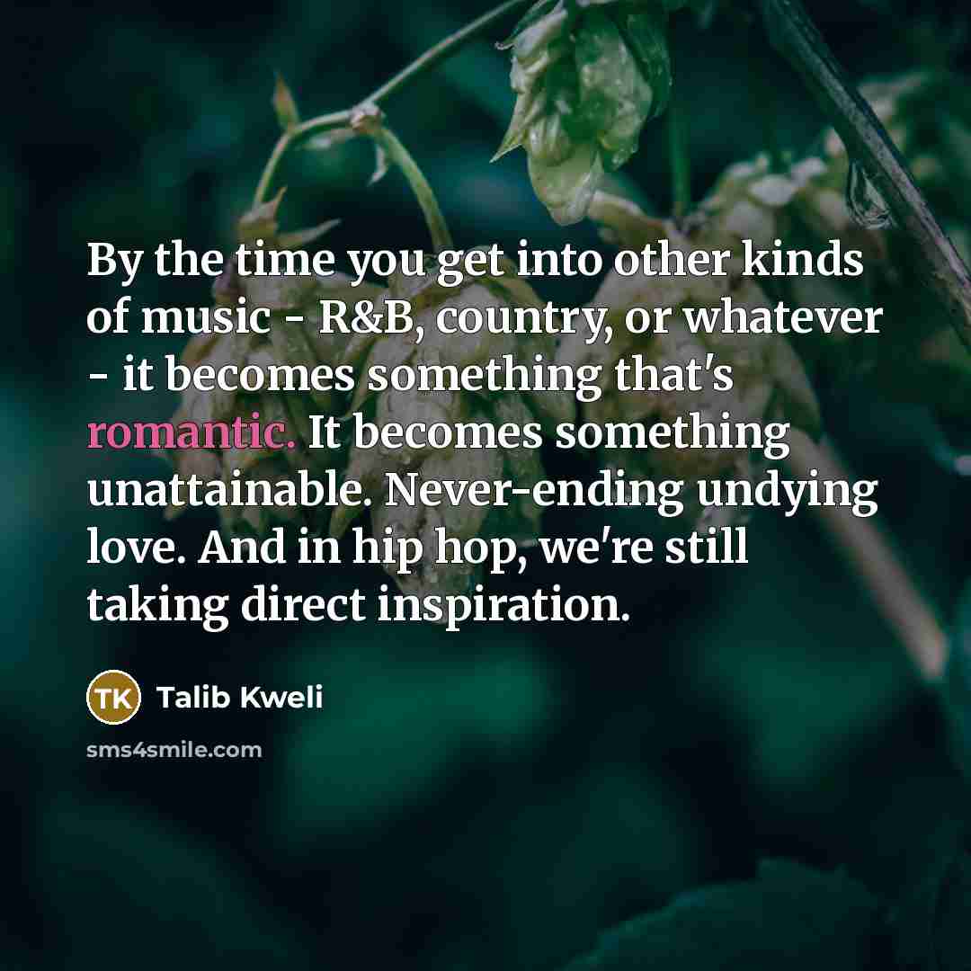“By the time you get into other kinds of music…” quote by Talib Kweli