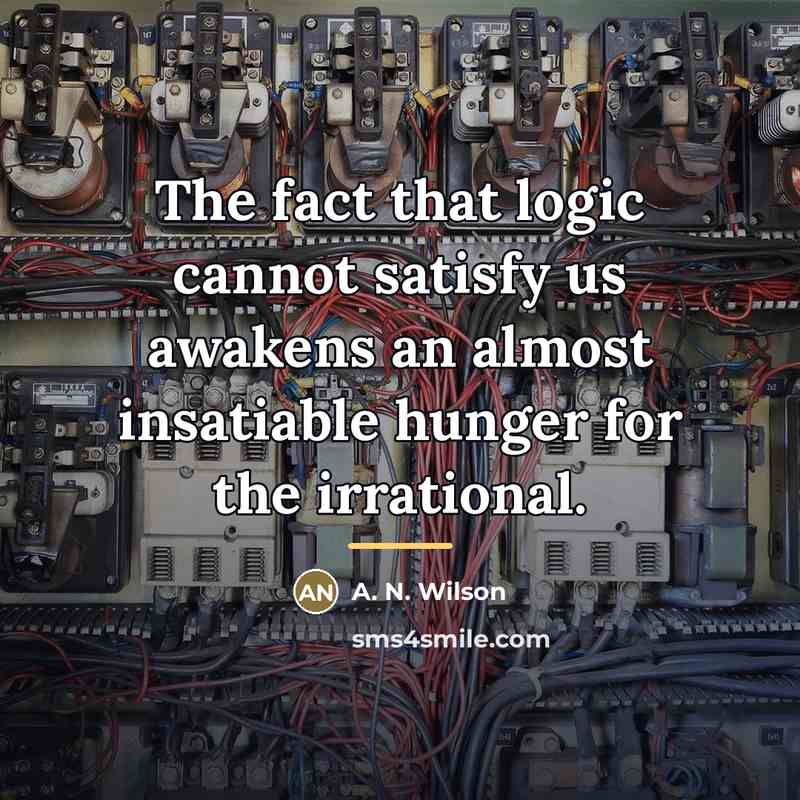 “The fact that logic cannot satisfy us awakens an almost…” quote by A. N. Wilson