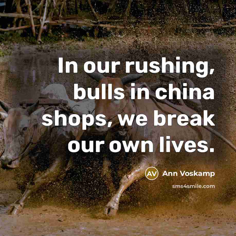 “In our rushing, bulls in china shops, we break our…” quote by Ann Voskamp