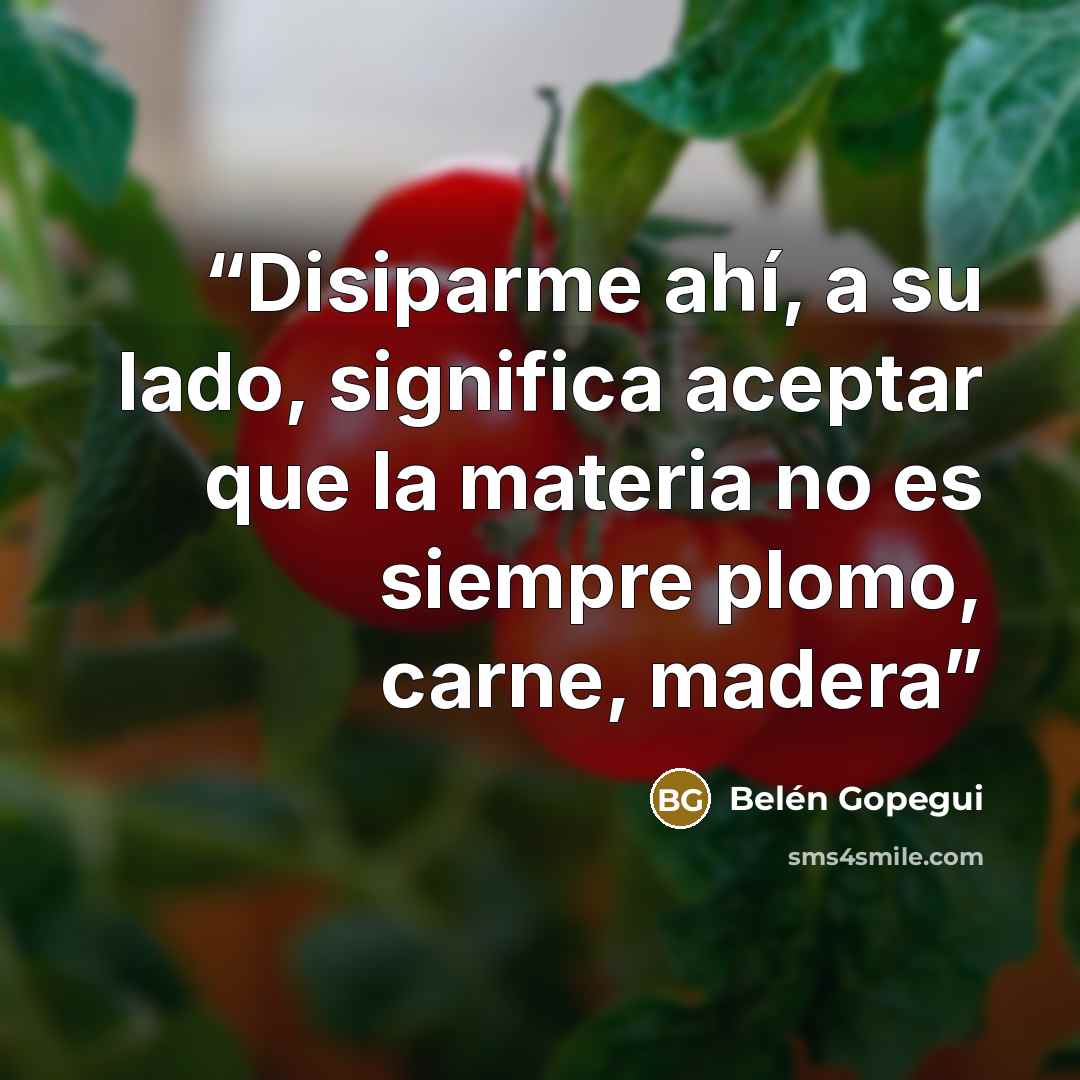 “Disiparme ahí, a su lado, significa aceptar que la materia no es siempre plomo, carne, madera” quote by Belén Gopegui