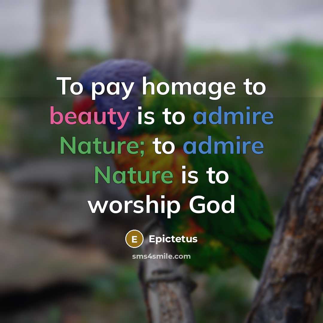 “To pay homage to beauty is to admire Nature; to…” quote by Epictetus