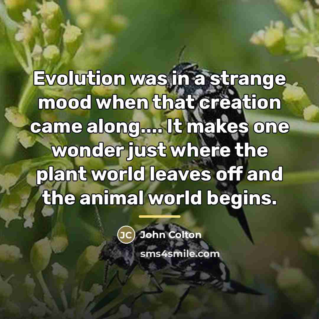 “Evolution was in a strange mood when that creation came…” quote by John Colton