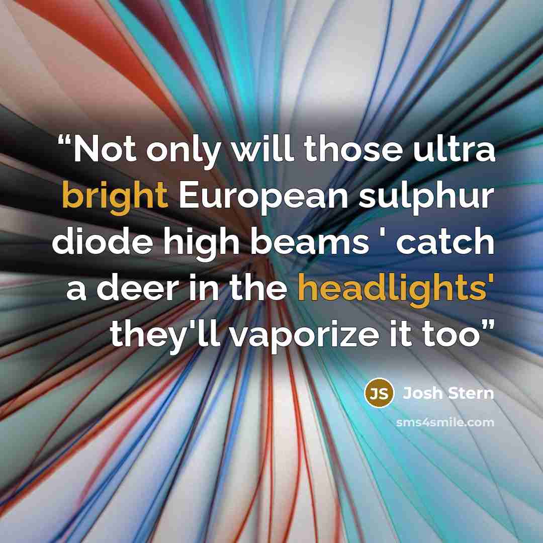 “Not only will those ultra bright European sulphur diode high beams ' catch a deer in the headlights' they'll vaporize it too” quote by josh stern