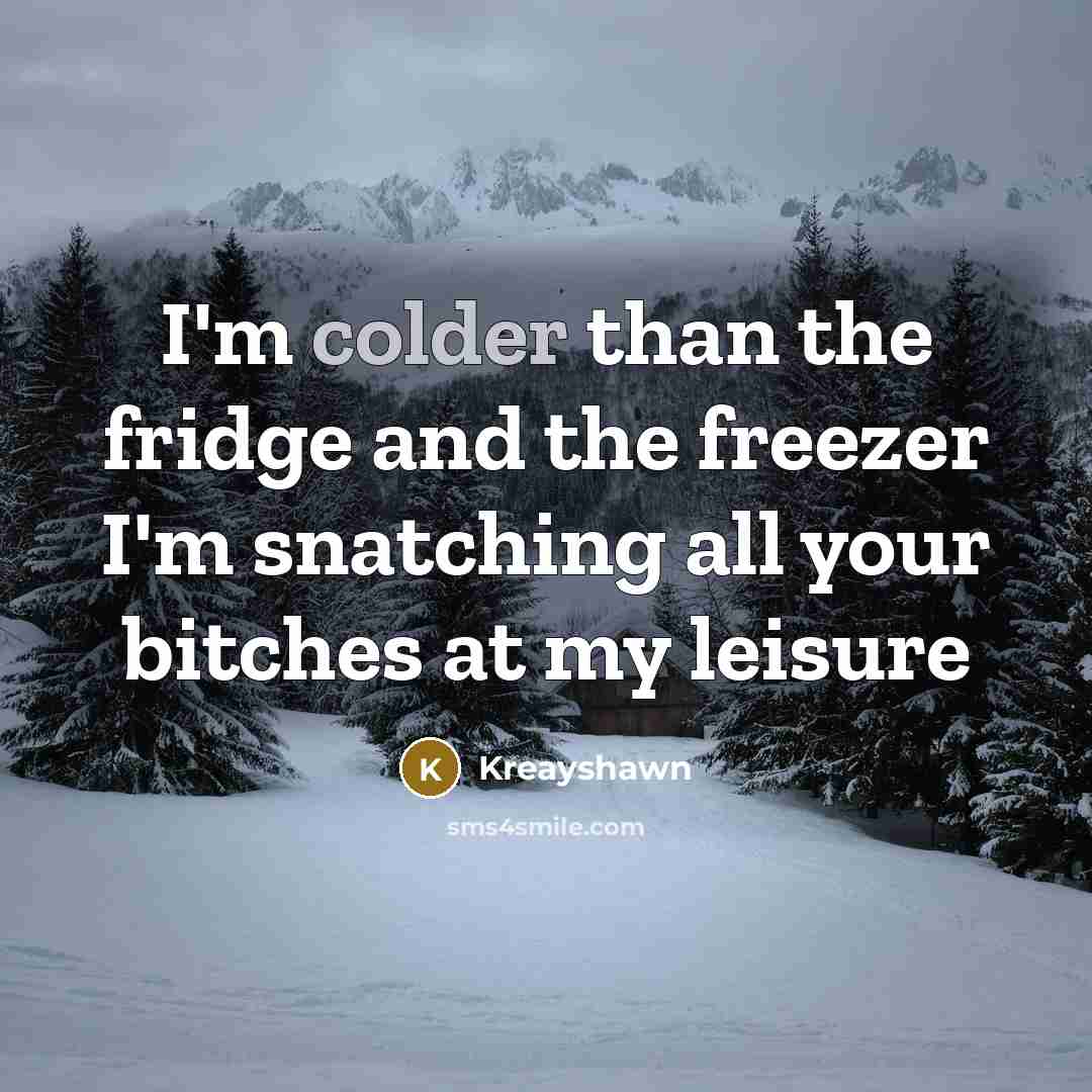 “I'm colder than the fridge and the freezer I'm snatching all your bitches at my leisure” quote by Kreayshawn