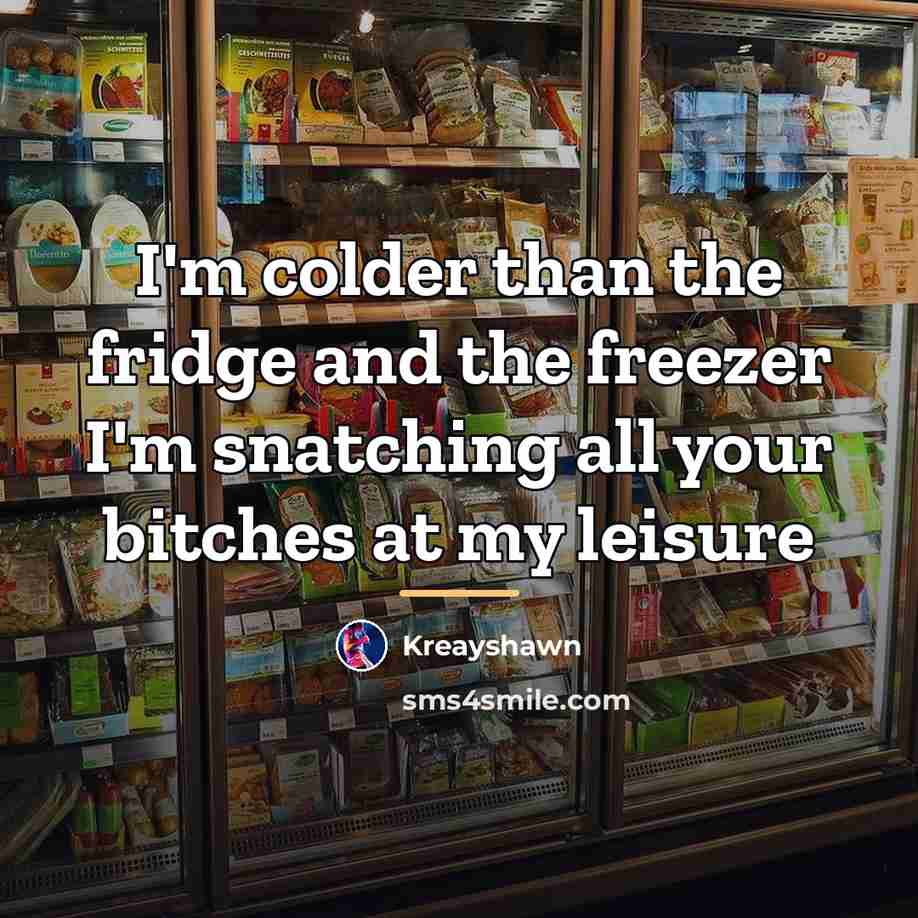 “I'm colder than the fridge and the freezer I'm snatching…” quote by Kreayshawn