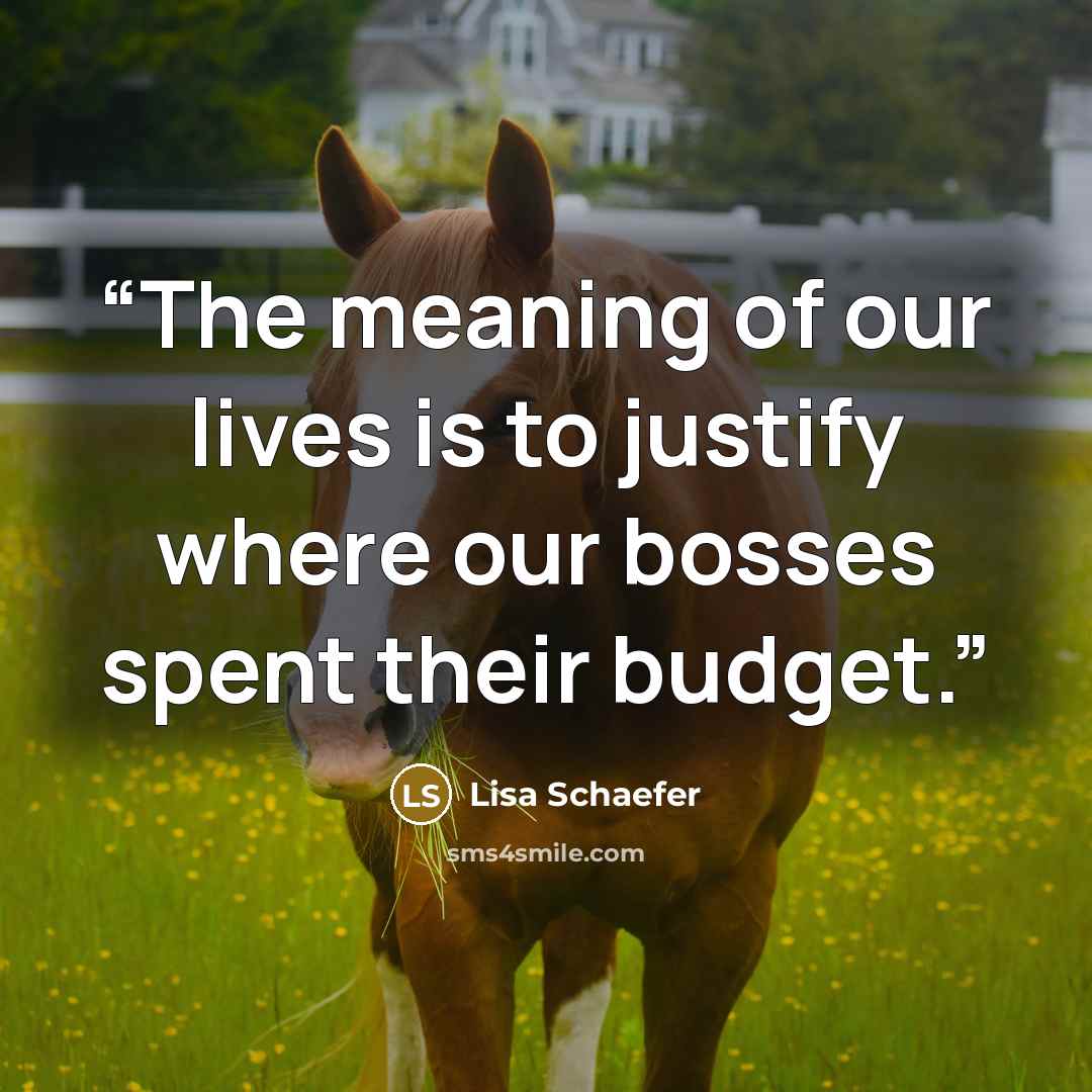 “The meaning of our lives is to justify where our bosses spent their budget.” quote by Lisa Schaefer