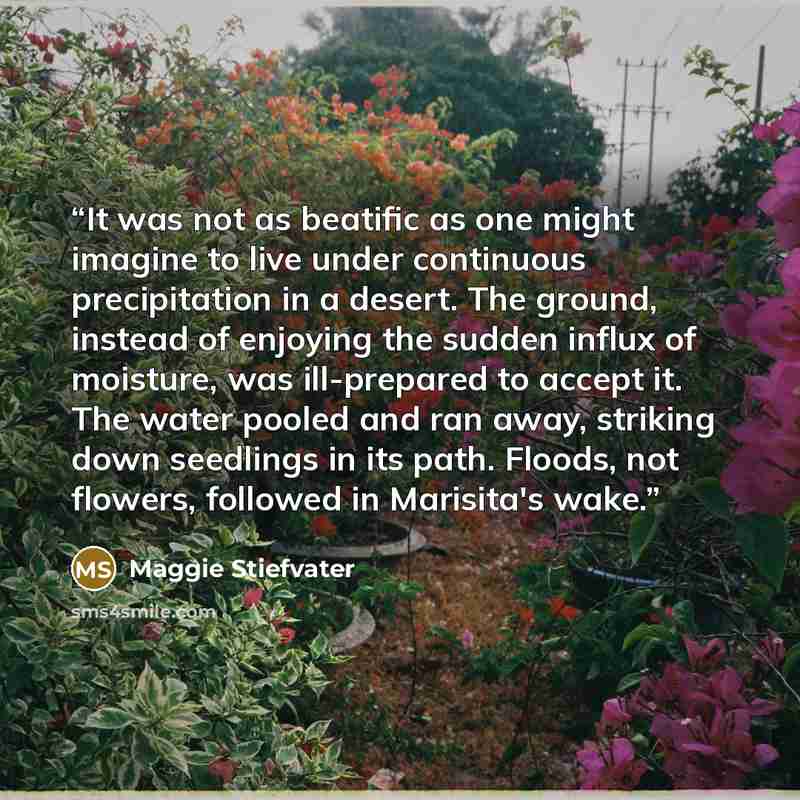 “It was not as beatific as one might imagine to live under continuous precipitation in a desert. The ground, instead of enjoying the sudden influx of moisture, was ill-prepared to accept it. The water pooled and ran away, striking down seedlings in its path. Floods, not flowers, followed in…” quote by Maggie Stiefvater