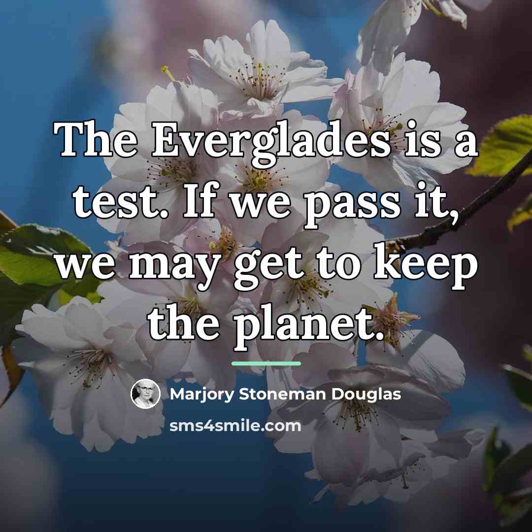 “The Everglades is a test. If we pass it, we…” quote by Marjory Stoneman Douglas