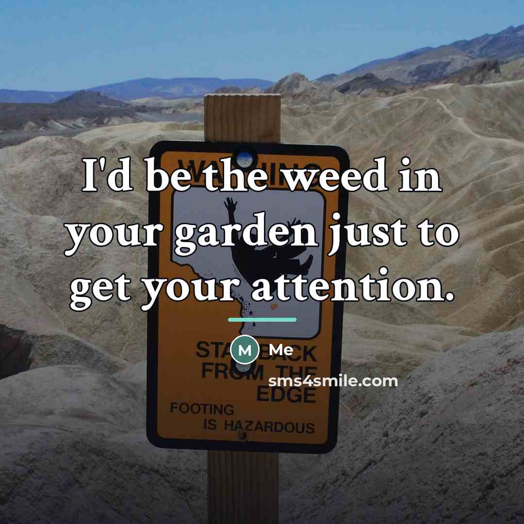 “I'd be the weed in your garden just to get…” quote by Me