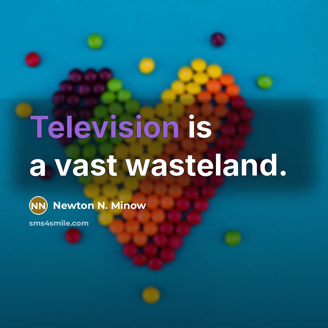 “Television is a vast wasteland.…” quote by Newton N. Minow