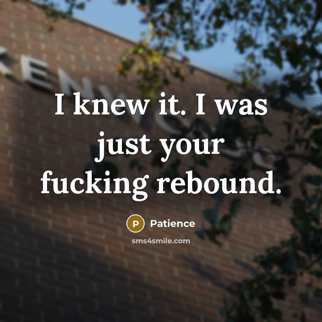 “I knew it. I was just your fucking rebound.…” quote by Patience