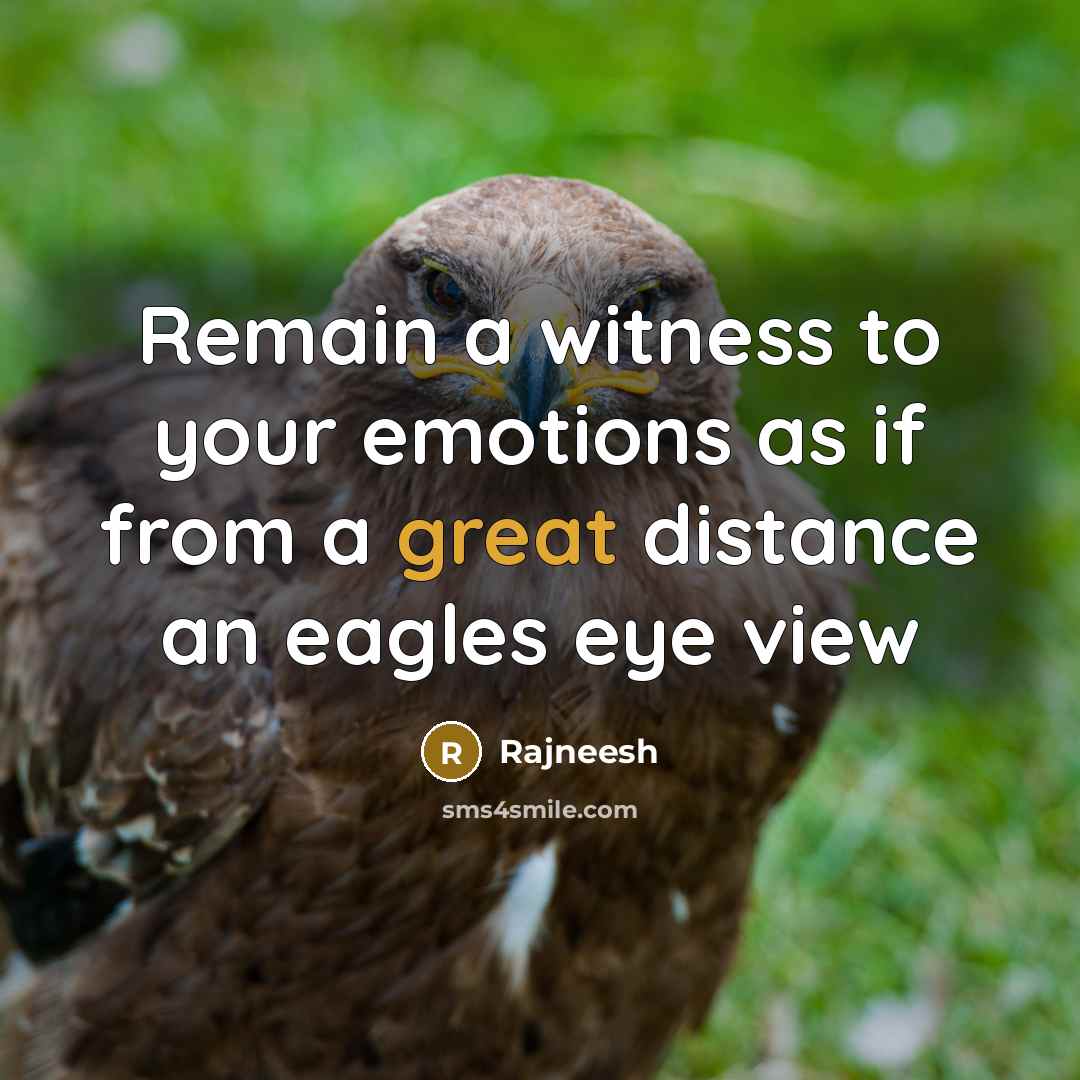 “Remain a witness to your emotions as if from a…” quote by Rajneesh