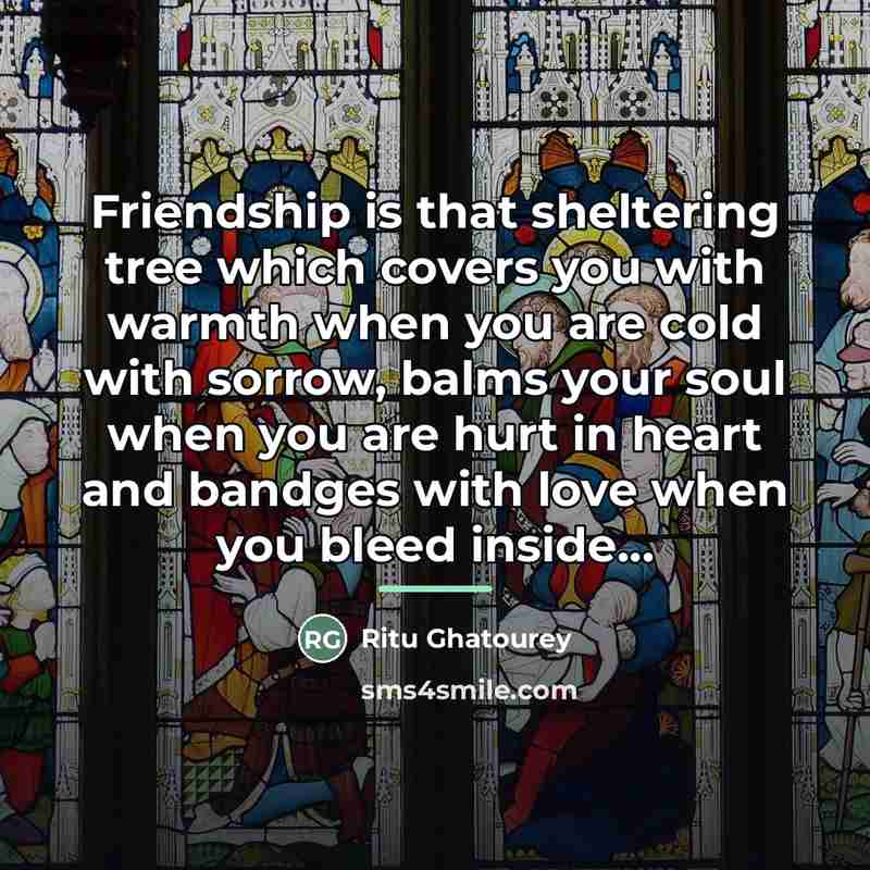 “Friendship is that sheltering tree which covers you with warmth…” quote by Ritu Ghatourey