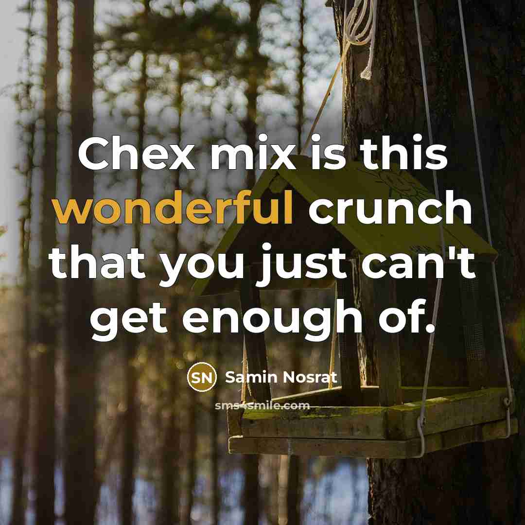 “Chex mix is this wonderful crunch that you just can't…” quote by Samin Nosrat