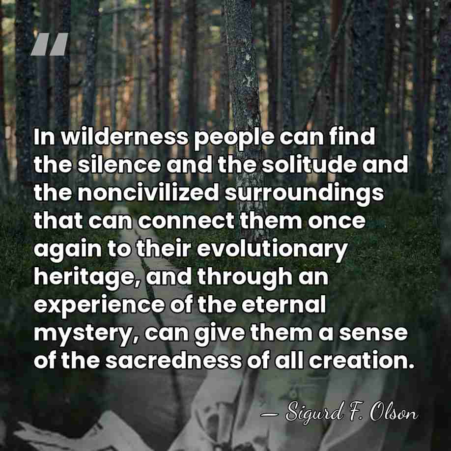 In wilderness people can find the silence and the solitude and the&hellip; - Sigurd F. Olson