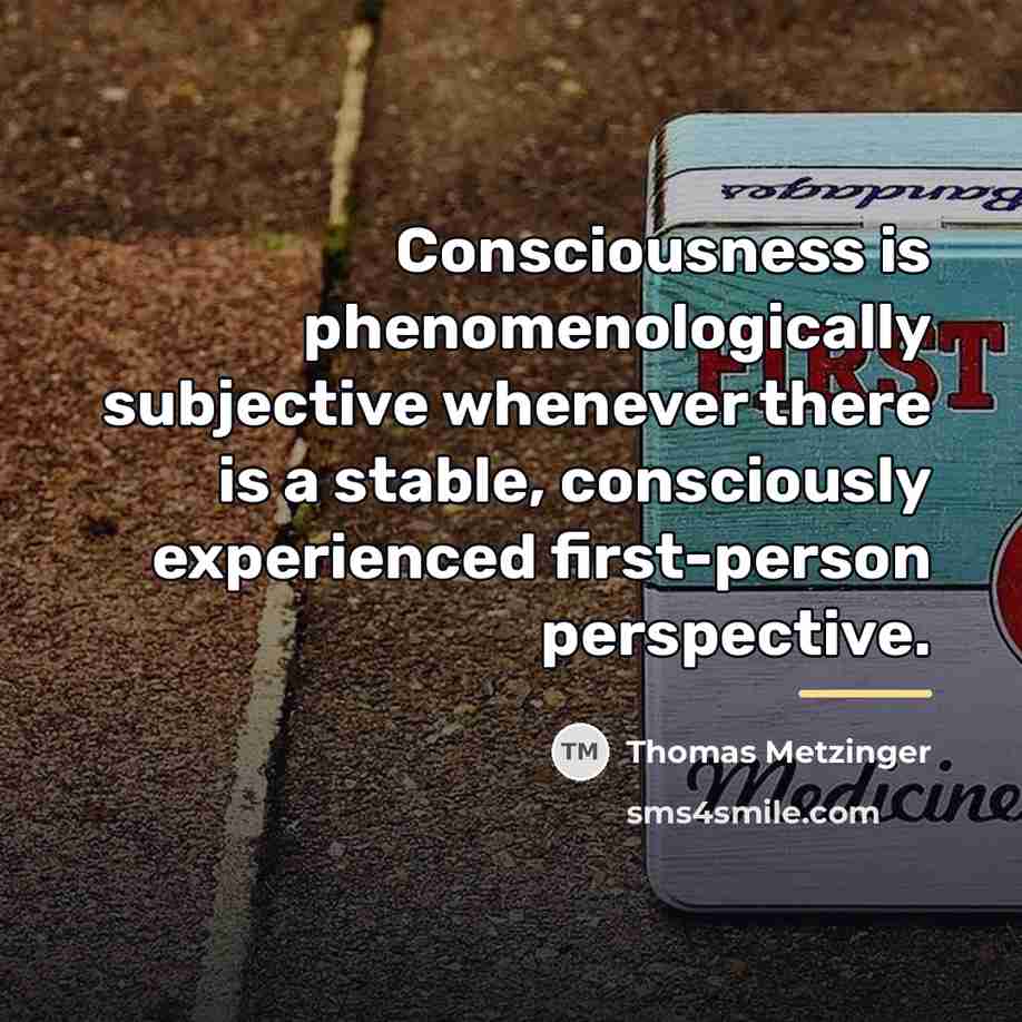 “Consciousness is phenomenologically subjective whenever there is a stable, consciously…” quote by Thomas Metzinger