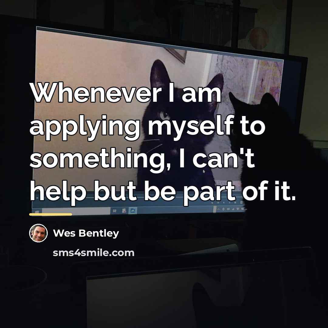 “Whenever I am applying myself to something, I can't help…” quote by Wes Bentley