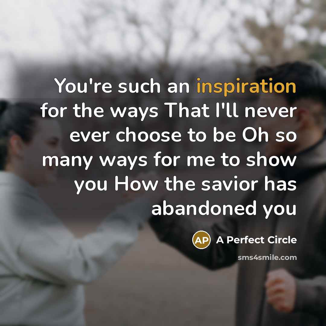 “You're such an inspiration for the ways That I'll never…” quote by A Perfect Circle