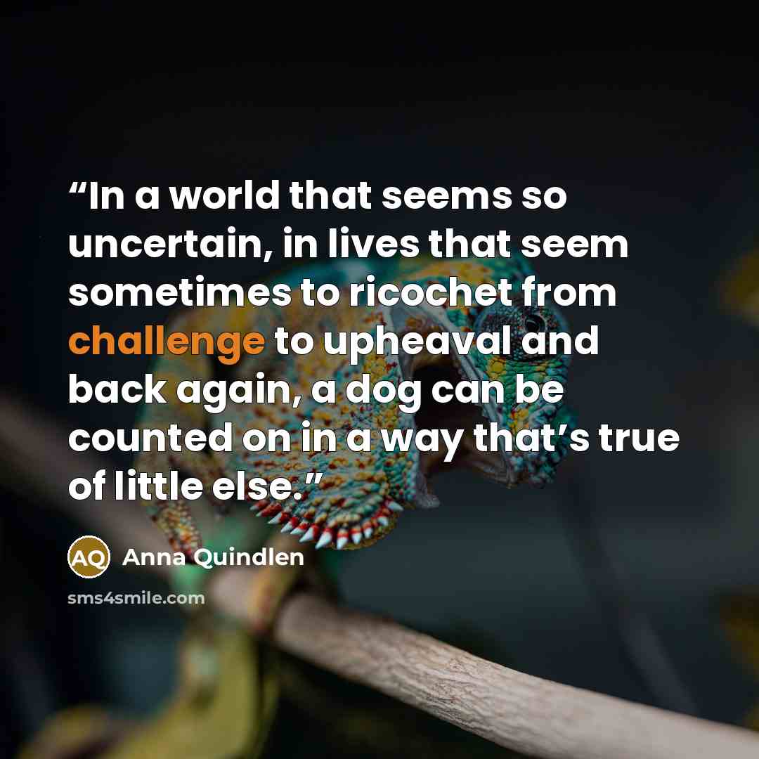 “In a world that seems so uncertain, in lives that seem sometimes to ricochet from challenge to upheaval and back again, a dog can be counted on in a way that’s true of little else.” quote by Anna Quindlen