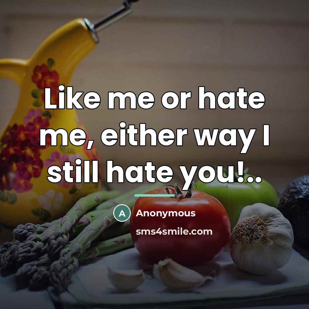 “Like me or hate me, either way I still hate…” quote by Anonymous