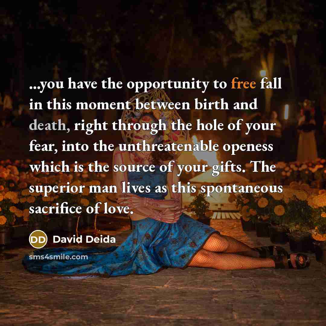 “...you have the opportunity to free fall in this moment…” quote by David Deida