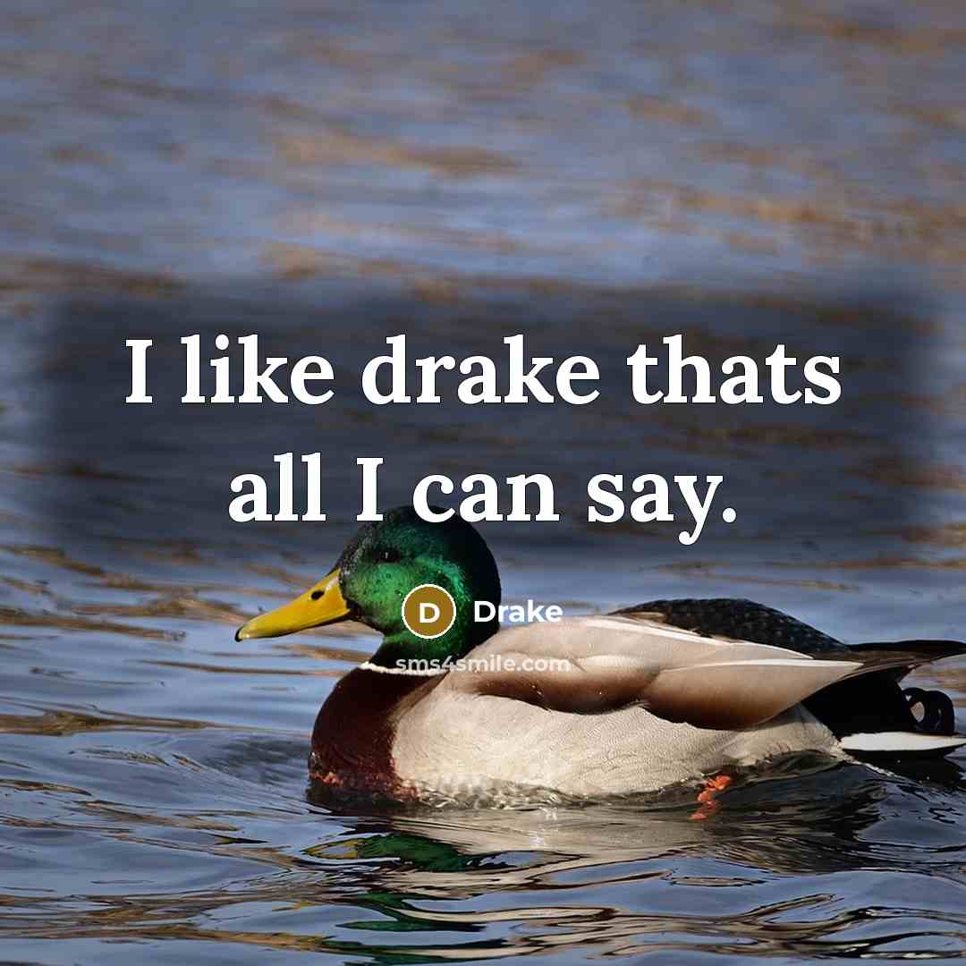“I like drake thats all I can say.…” quote by Drake