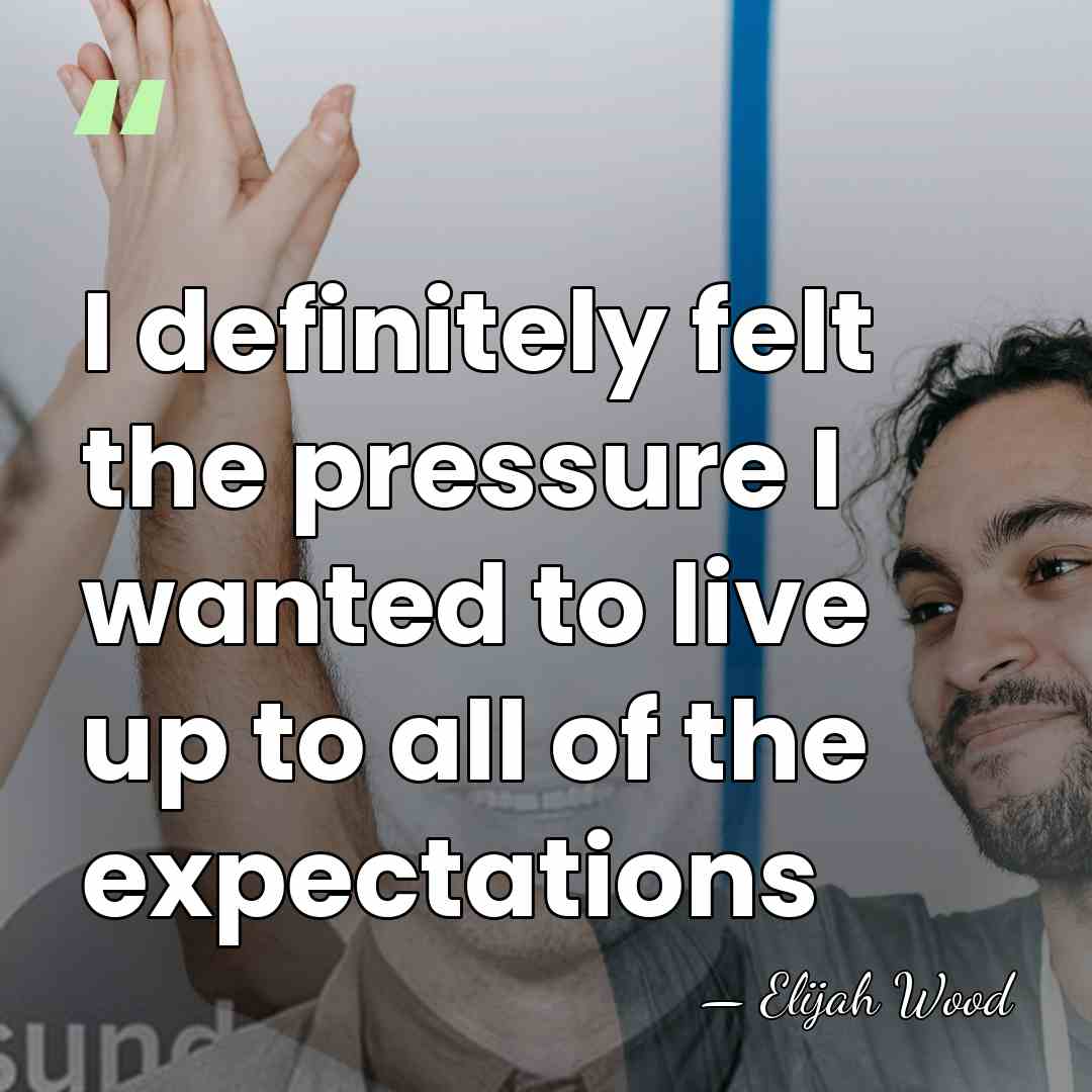 I definitely felt the pressure I wanted to live up to all&hellip; - Elijah Wood
