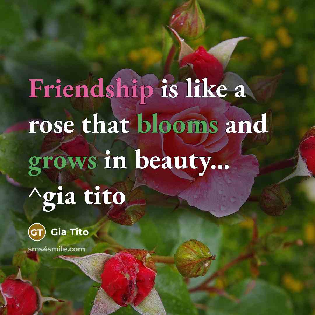 “Friendship is like a rose that blooms and grows in…” quote by Gia Tito