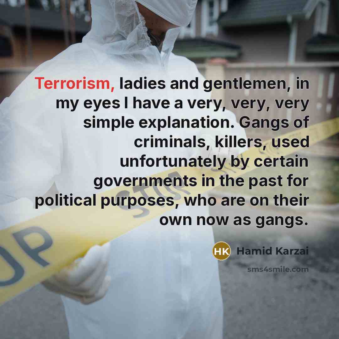 “Terrorism, ladies and gentlemen, in my eyes I have a…” quote by Hamid Karzai