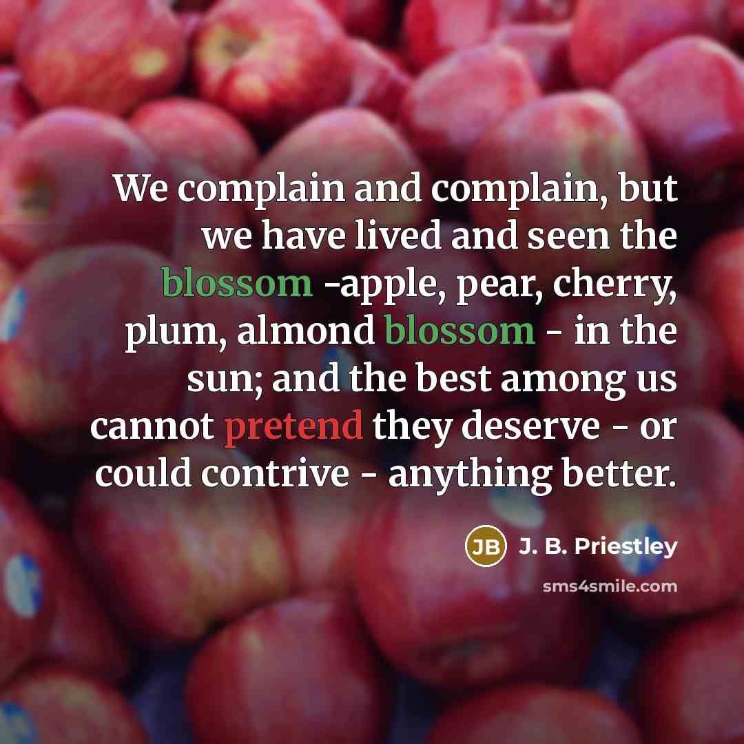 “We complain and complain, but we have lived and seen…” quote by J. B. Priestley